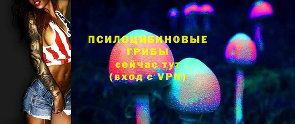 ПСИЛОЦИБИНОВЫЕ ГРИБЫ Бугульма