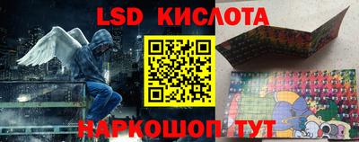 прущие крисы Гатчина
