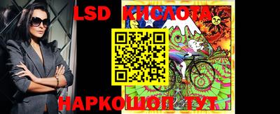 прущие крисы Гатчина