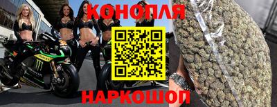 прущие крисы Гатчина