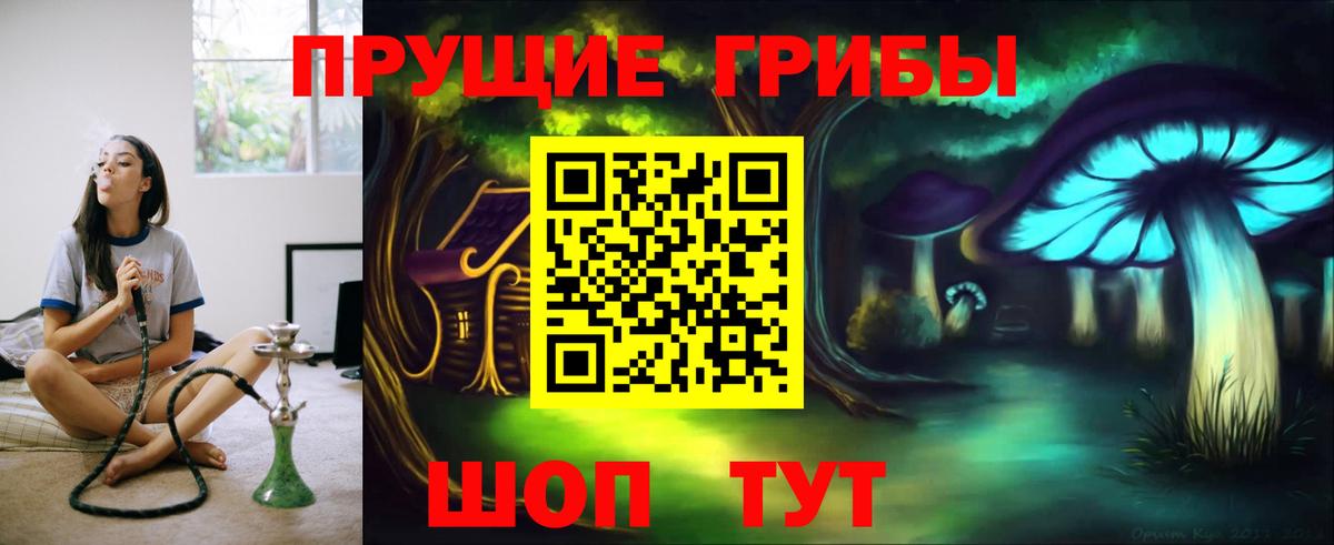 цены   Псилоцибиновые грибы прущие грибы  Череповец  Вход с VPN  Псилоцибиновые грибы мухоморы 